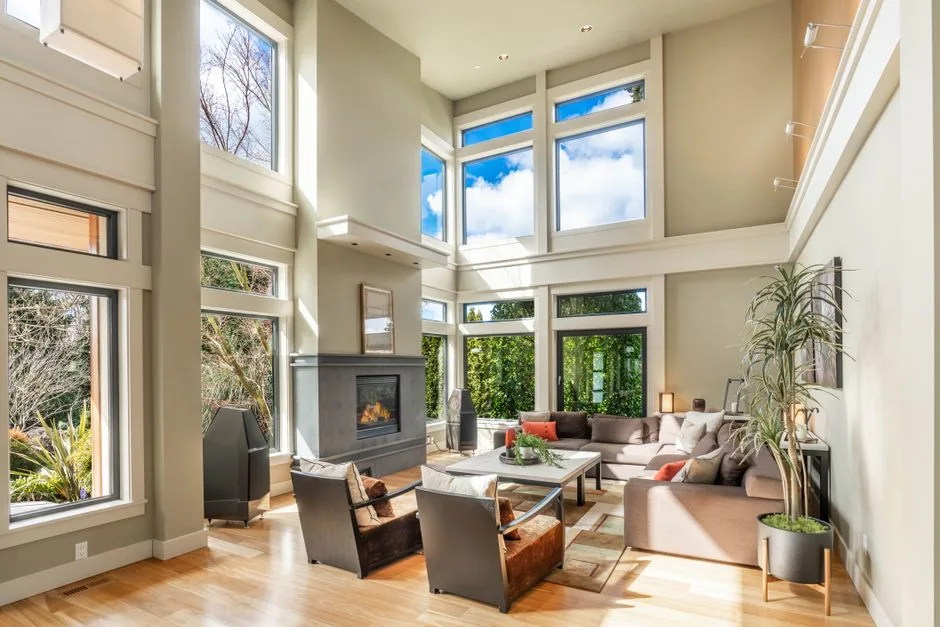 A bright, airy room filled with
natural light and green plants