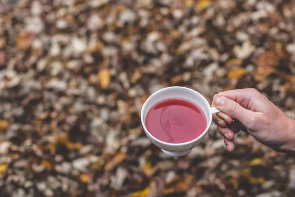 Hands cradling a warm cup of tea, a quiet moment of pause