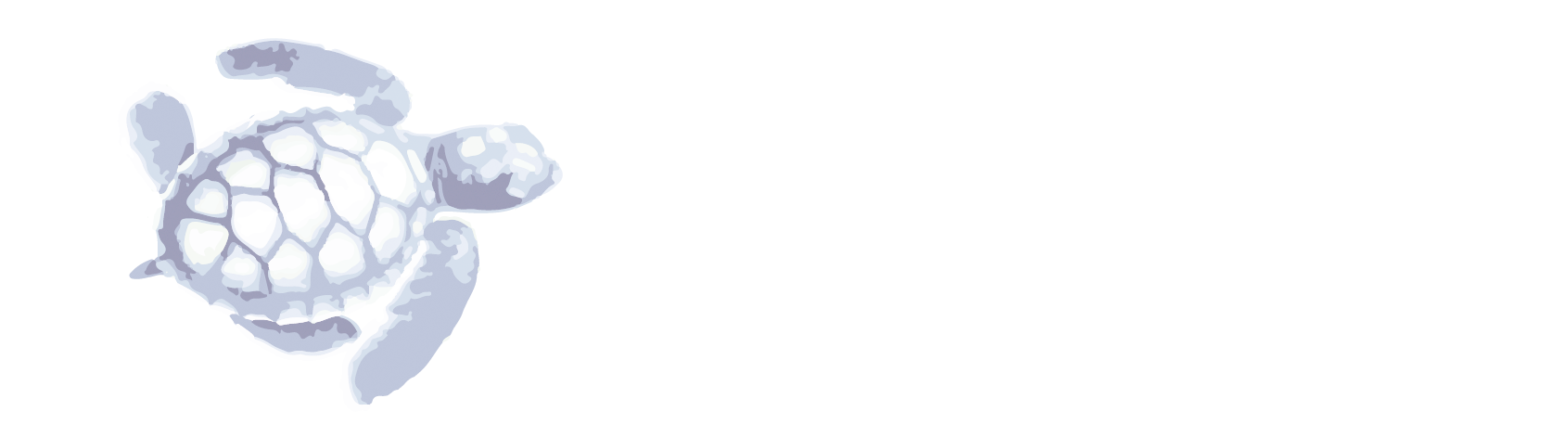 Vero Beach Marketing & Advertising